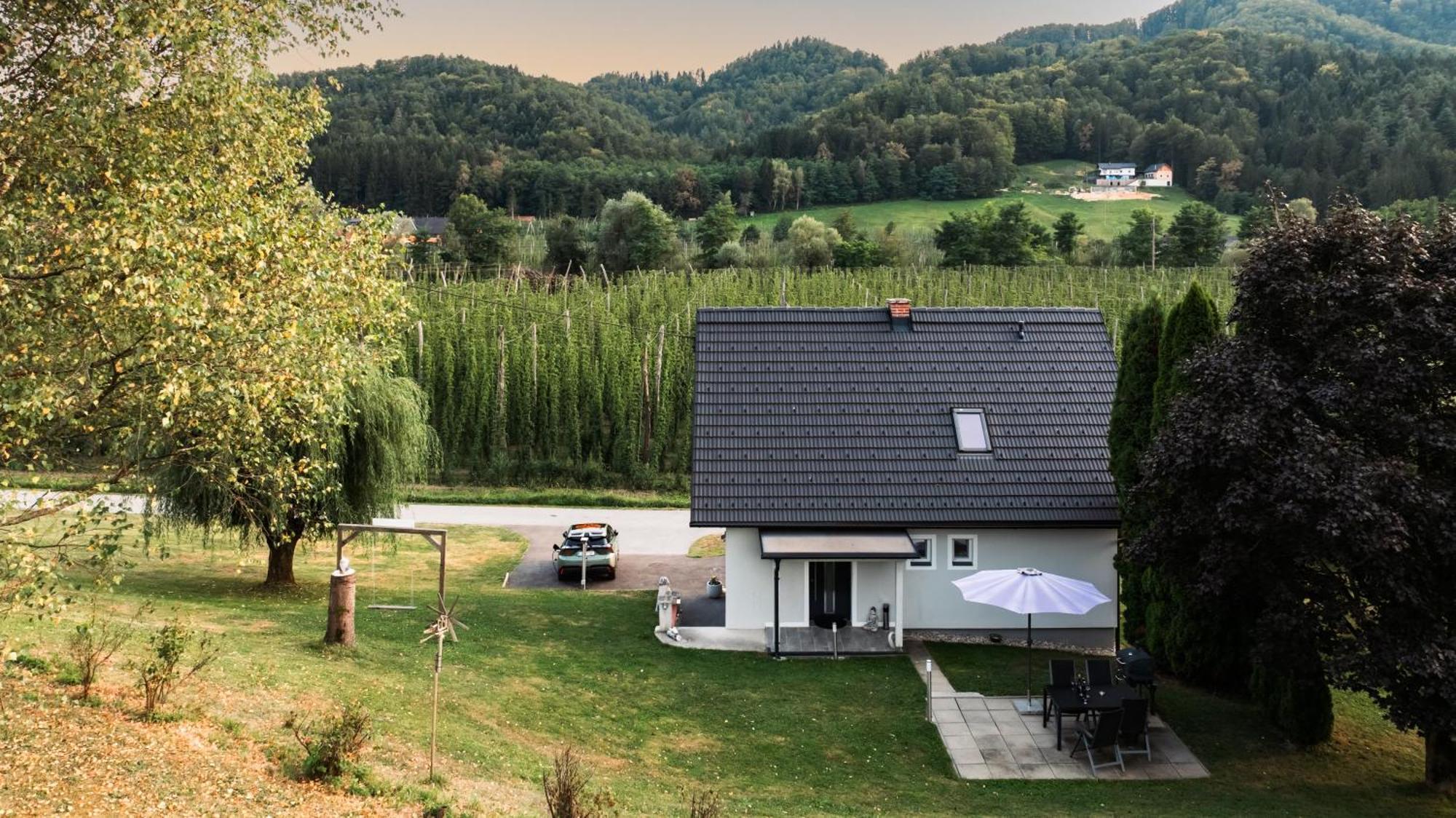 Ferienhaus Treissmann An Der Weinstrasse 里欧查赫 外观 照片